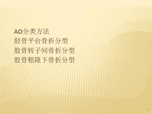 骨折AO分型幻灯片PPT课件