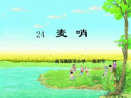 麦哨21张ppt课件.ppt