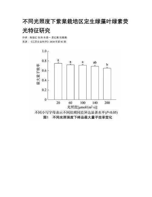 不同光照度下紫菜栽培区定生绿藻叶绿素荧光特征研究