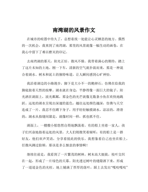南湾湖的风景作文