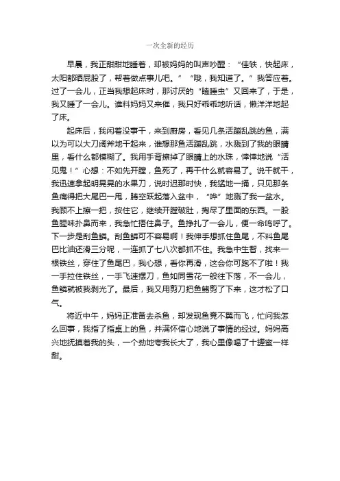 一次全新的经历_作文500字_小学三年级叙事作文_