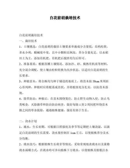 白花前胡栽培技术