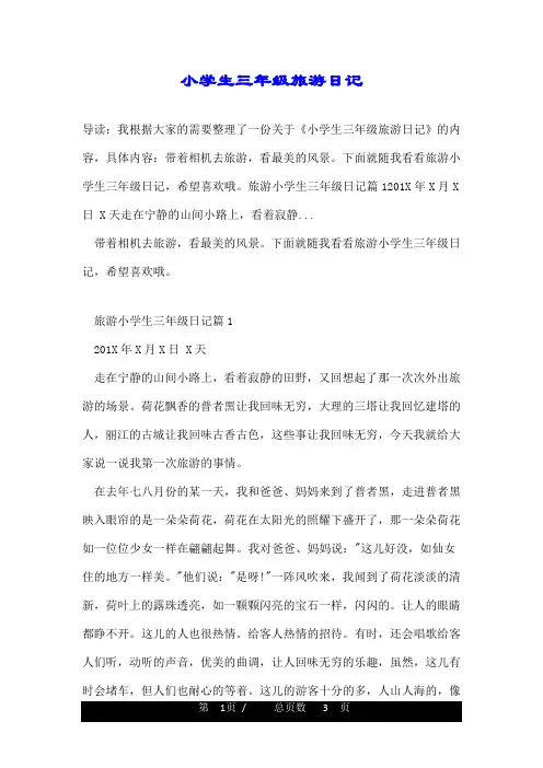 小学生三年级旅游日记