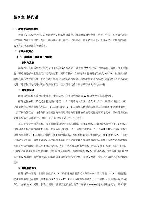 华中农业大学生物化学考研试题库附答案糖代谢