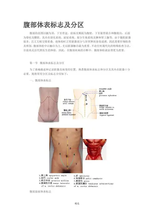 体格检查——腹部检查