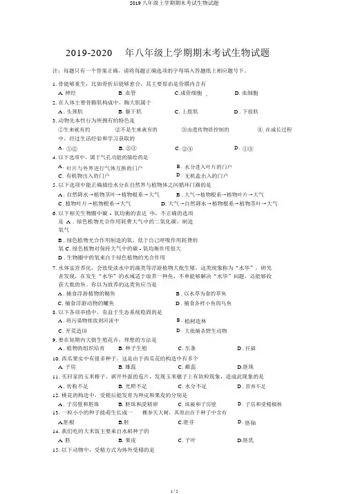 2019八年级上学期期末考试生物试题