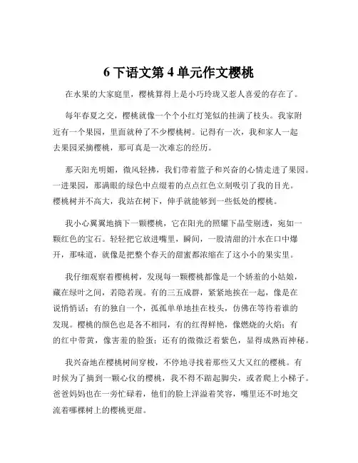 6下语文第4单元作文樱桃