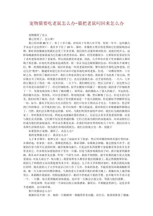 宠物猫要吃老鼠怎么办-猫把老鼠叼回来怎么办