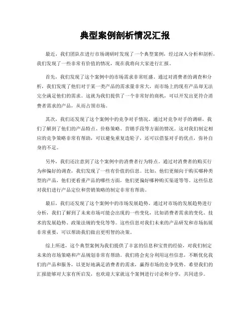 典型案例剖析情况汇报