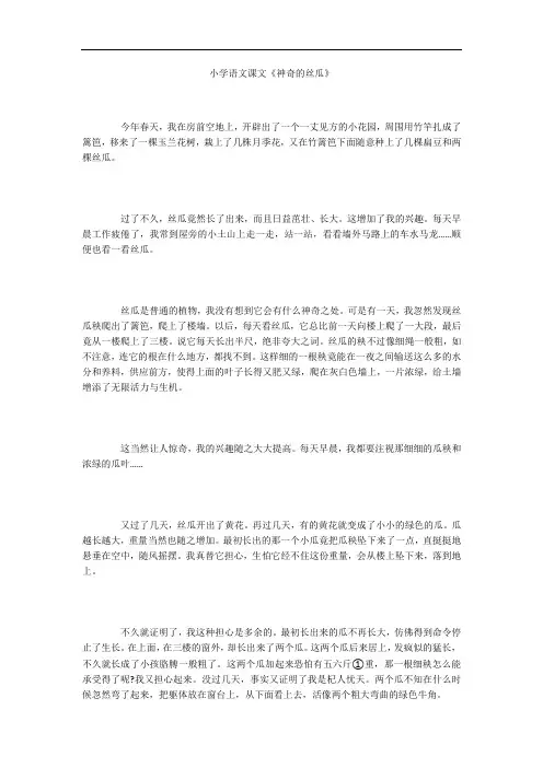 小学语文课文《神奇的丝瓜》
