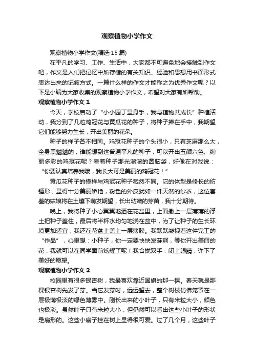 观察植物小学作文（精选15篇）
