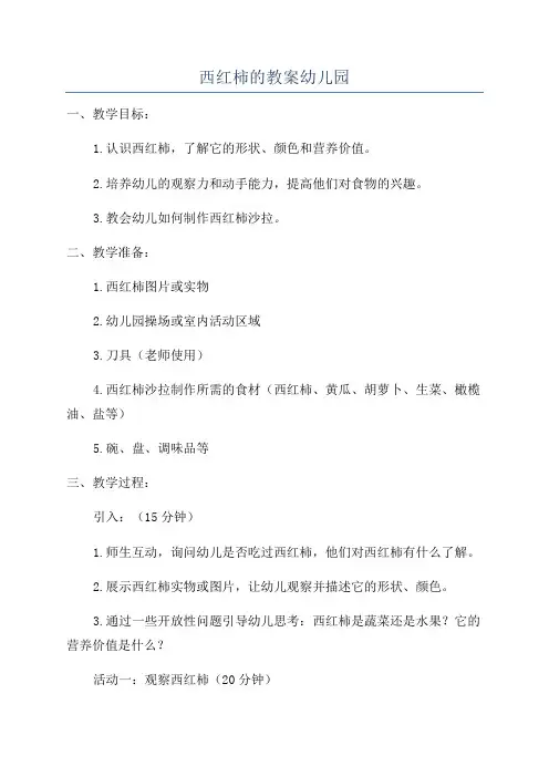 西红柿的教案幼儿园
