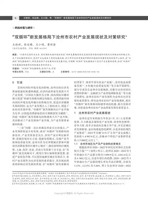 “双循环”新发展格局下沧州市农村产业发展现状及对策研究
