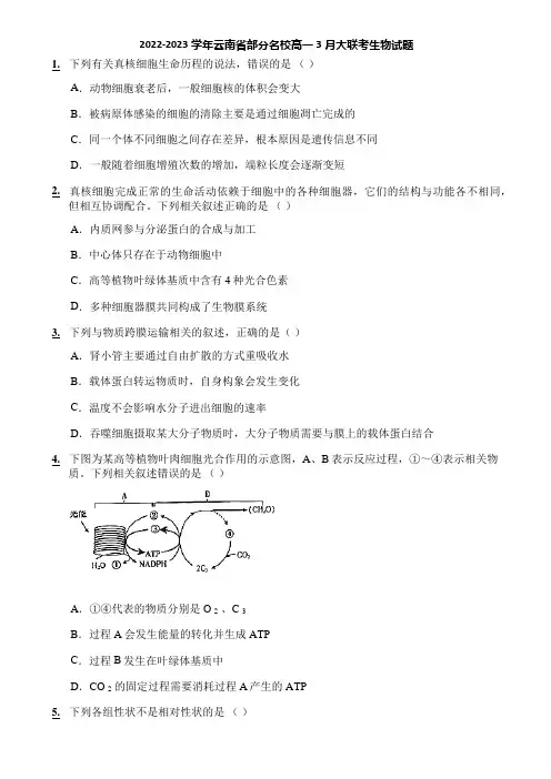 2022-2023学年云南省部分名校高一3月大联考生物试题