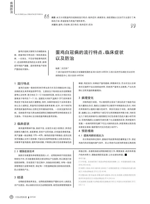 蛋鸡白冠病的流行特点、临床症状以及防治