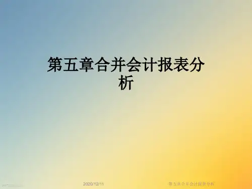 第五章合并会计报表分析