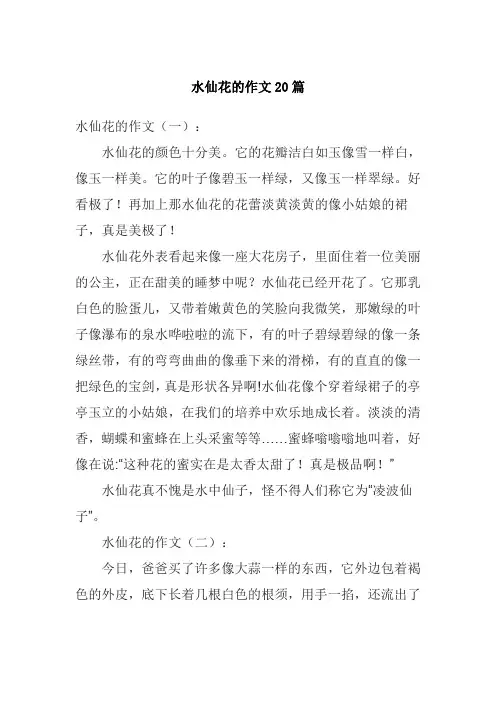 水仙花的作文20篇