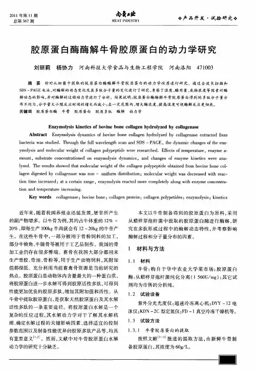 胶原蛋白酶酶解牛骨胶原蛋白的动力学研究