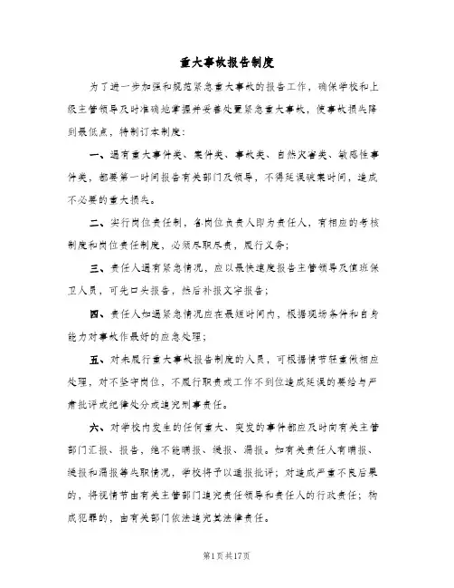 重大事故报告制度(五篇)