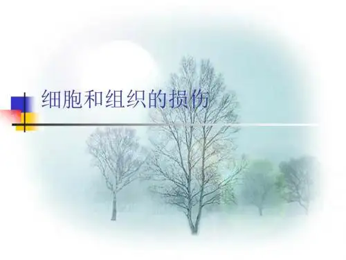 细胞和组织的损伤