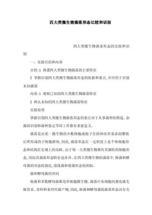 四大类微生物菌落形态比较和识别（可编辑）