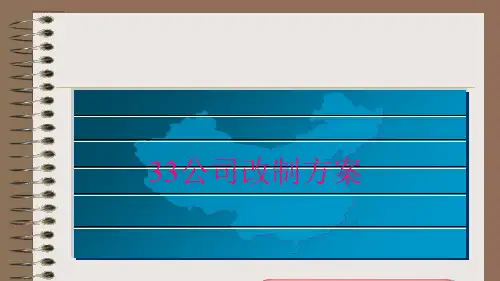某有限公司改制方案(ppt 68页)