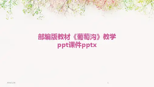部编版教材《葡萄沟》教学ppt课件pptx(2024)