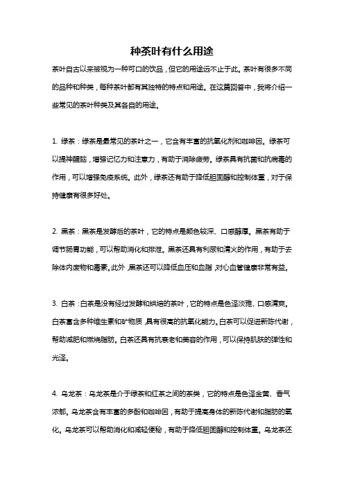种茶叶有什么用途