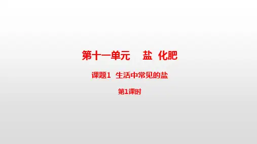 人教版九年级化学下册第11单元盐化肥PPT教学课件
