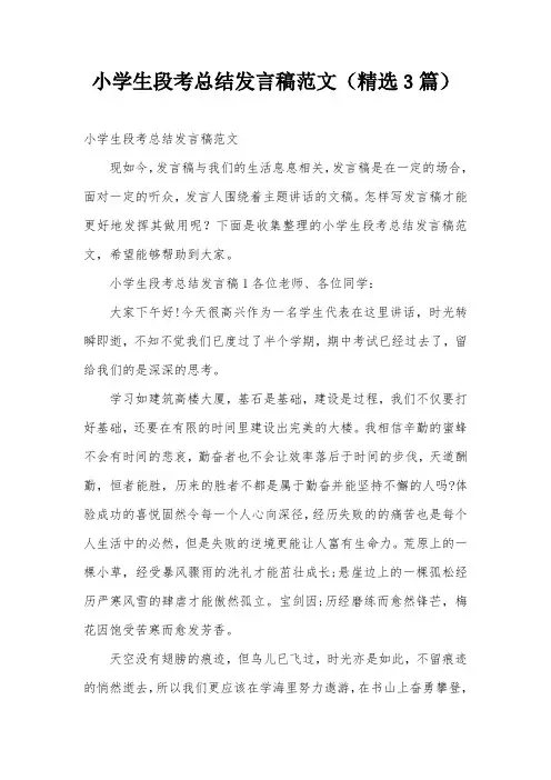 小学生段考总结发言稿范文(精选3篇)