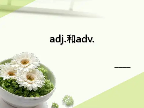 adj和adv.