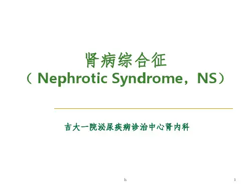 《肾病综合症》ppt课件