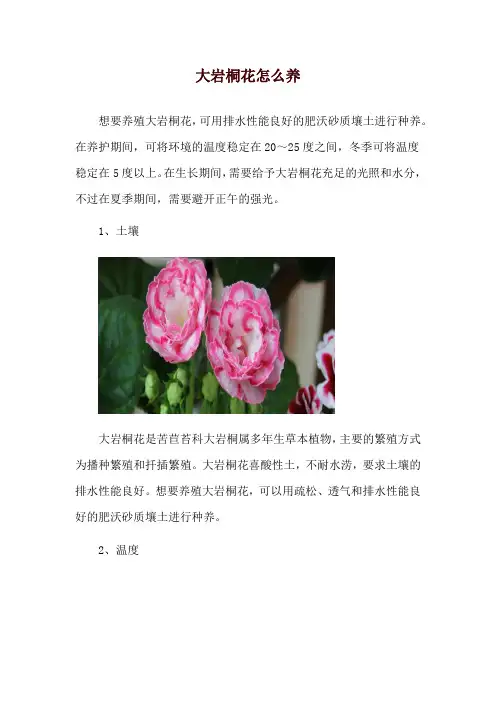 大岩桐花怎么养