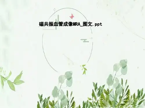 磁共振血管成像MRA_图文