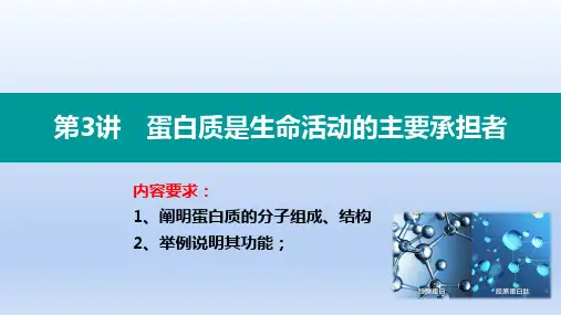 【课件】高三生物一轮复习课件蛋白质和核酸