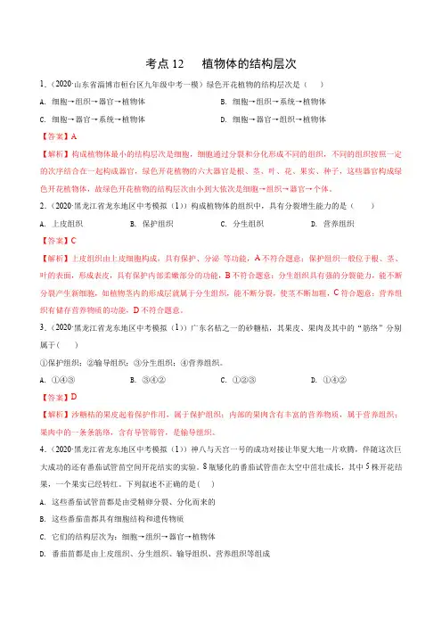 考点12 植物体的结构层次-七年级生物(解析版)