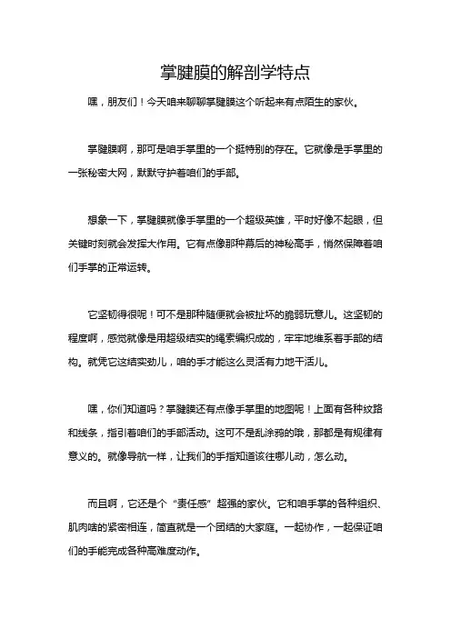 掌腱膜的解剖学特点