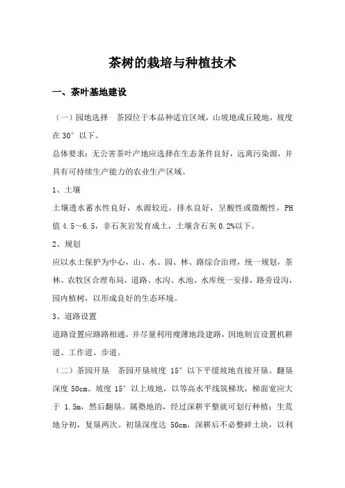 茶树的栽培与种植技术
