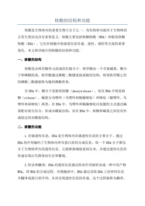 核酸的结构和功能