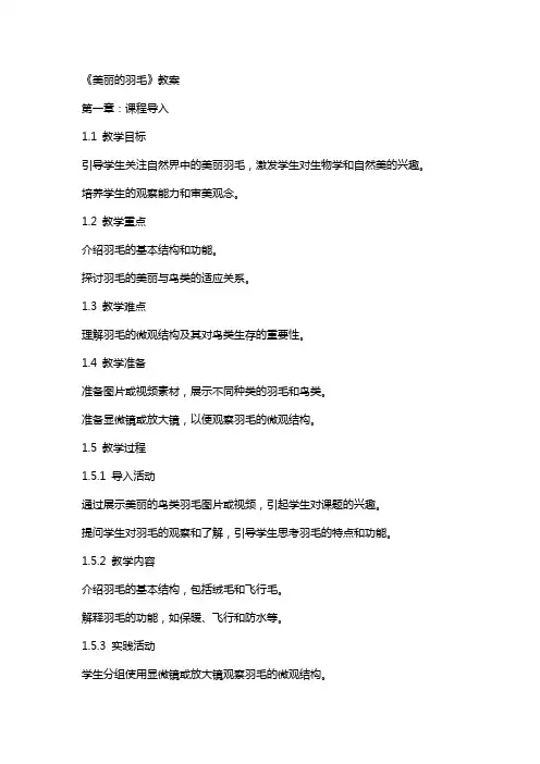 《美丽的羽毛》教案