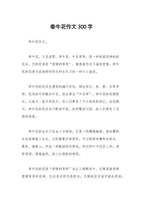 牵牛花作文300字 2