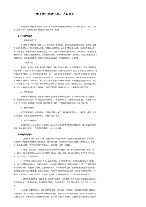 兔子怎么养才不臭方法是什么