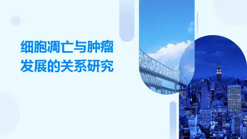 细胞凋亡与肿瘤发展的关系研究