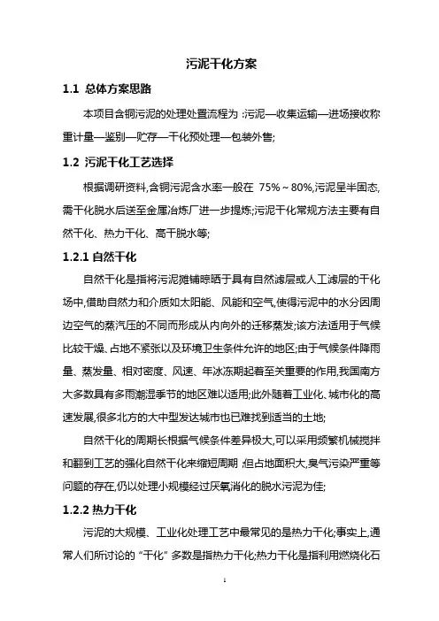 污泥干化详细方案
