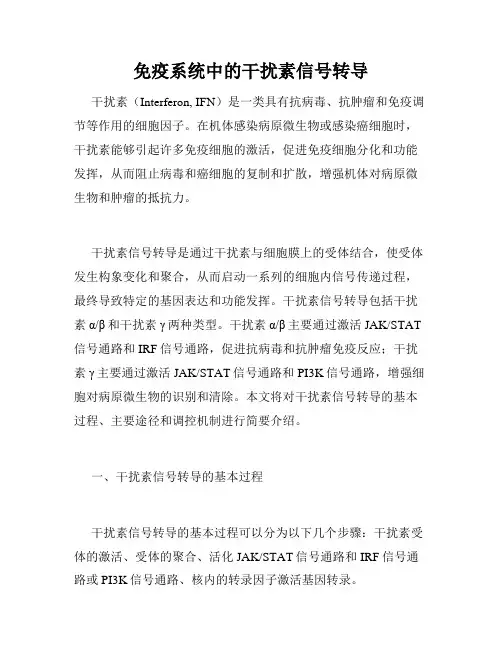免疫系统中的干扰素信号转导