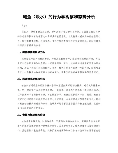 鲑鱼(淡水)的行为学观察和态势分析