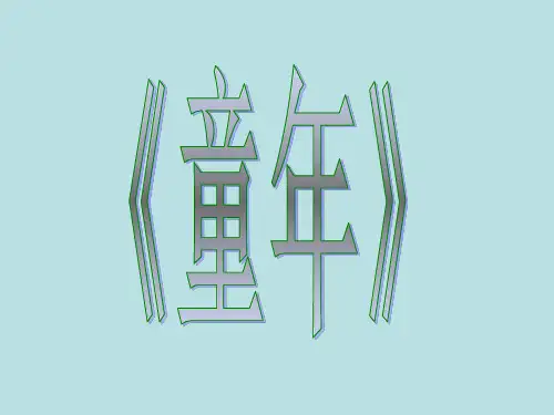 名著导读《童年》ppt课件