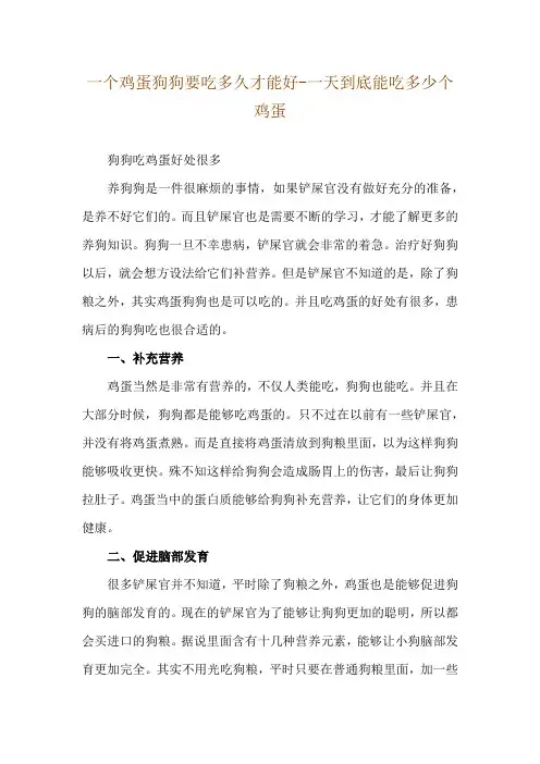 一个鸡蛋狗狗要吃多久才能好-一天到底能吃多少个鸡蛋