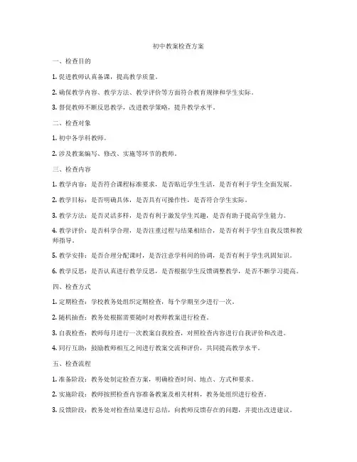 初中教案检查方案