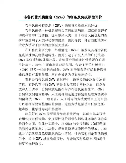 布鲁氏菌外膜囊泡(OMVs)的制备及免疫原性评价